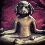 Profile Picture of jodi dougherty (@jgdrty) on Instagram