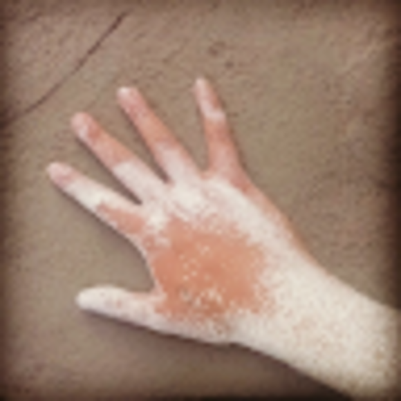 Profile Picture of Sal Hamerman (@sehamerman) on Poshmark