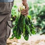 Michael Borich - Instagram Profile Picture of Michael Borich (@blitva_) on Instagram