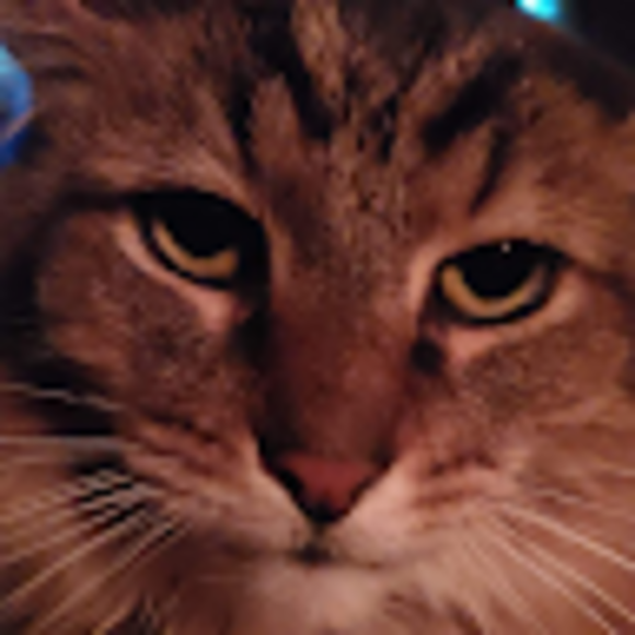 Profile Picture of Robert Hendricks (@bob90312) on Poshmark