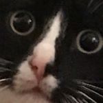 Profile Picture of Flintercell (@flintercell) on Instagram