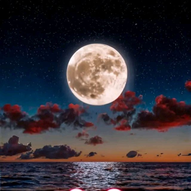 Profile Picture of Gonzalez jimenez (@jimenezz2345) on Tiktok