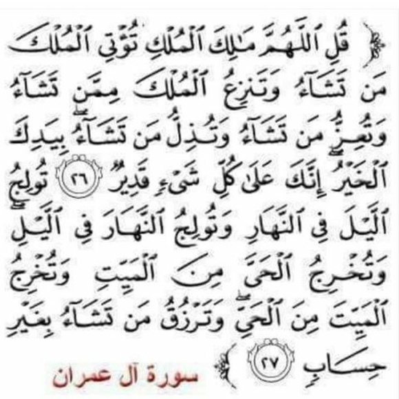 Profile Picture of Moktar Mohamoud (@moktarmohamoud) on Poshmark