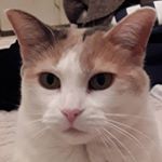 Profile Picture of Michèle Leduc (@micheleleduc51) on Instagram