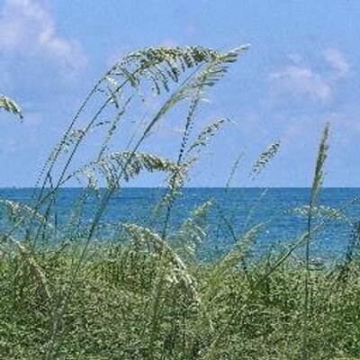 Profile Picture of Cynthia N. Couch (@CynthiaNCouch) on Twitter
