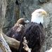 Profile Picture of Joe Tetreault (@Joe-Tetreault) on Facebook