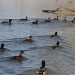 Profile Picture of Rudgear (@rudgeargaryyzf) on Instagram