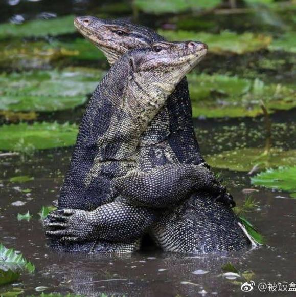 Profile Picture of Zhang Danjing (@danjing) on Poshmark