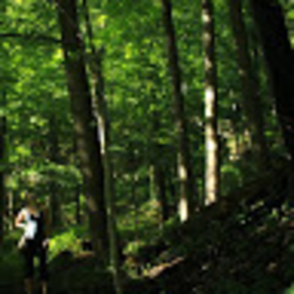 Profile Picture of Katelyn Mcleod (@sheltatha) on Poshmark