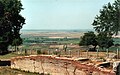 Profile Picture of Myzeqeon Wikipedia