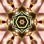Profile Picture of David Boaz (@mynameisboaz) on Instagram