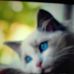 Profile Picture of Aron Bloom (@aron.bloom.9) on Facebook
