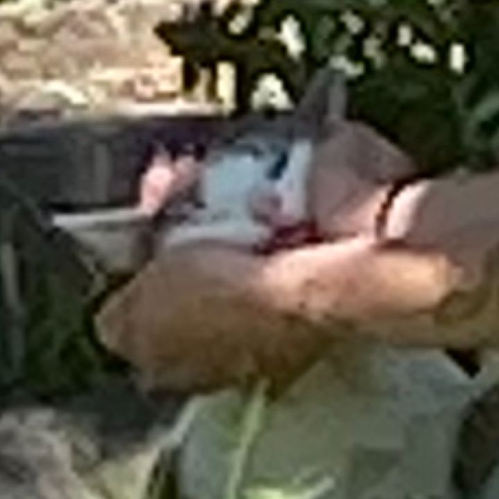 Profile Picture of cadestar (@@barrycaden) on Tiktok