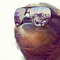 Profile Picture of Max Yaport (@max-yaport) on Quora