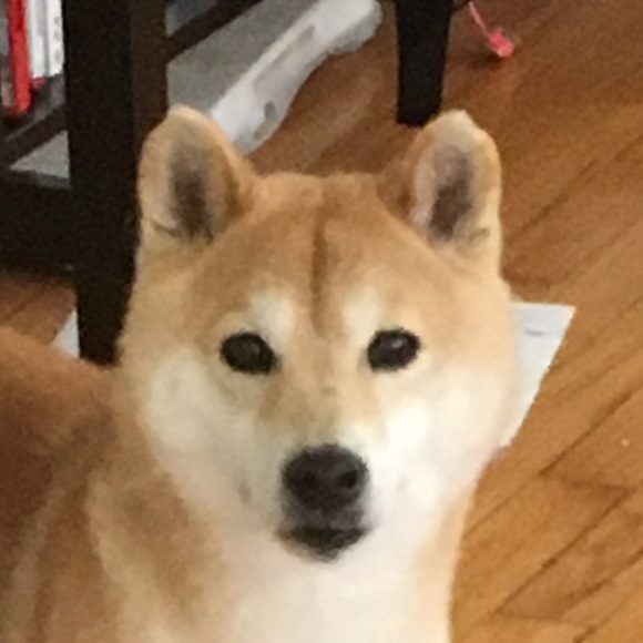 Profile Picture of Caitlin Magennis (@cnmagennis) on Poshmark