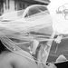 Profile Picture of Elda Alvarez (@ealvarez) on Pinterest
