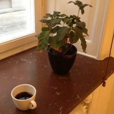 Profile Picture of Peter Goodman (@peteinsweden) on Twitter