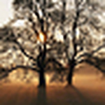 Profile Picture of Aditya Iyer (@aditya0712) on Flickr