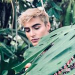 Profile Picture of Audric Ronfort (@primeroze) on Instagram