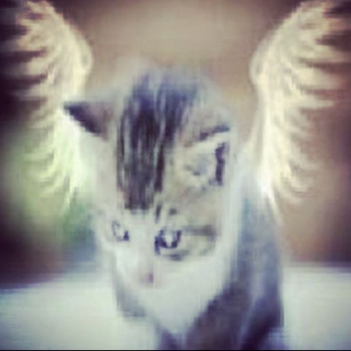 Profile Picture of val ^_^ (@valuablc) on Tiktok