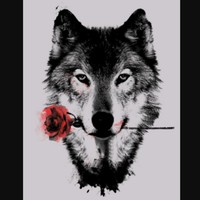 Profile Picture of Miranda Alvarado (@miranda-alvarado-2) on Quora