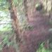 Profile Picture of Daniel Bashaw (@daniel.bashaw.52) on Facebook