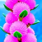 Profile Picture of Angelina Donkor (@Angelina-Donkor) on Facebook