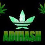 Profile Picture of Steven Breard (@canadhash) on Instagram