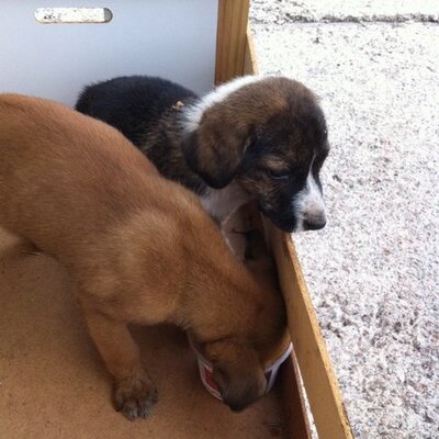 Profile Picture of Jose Veiga (@joseveiga68) on Twitter