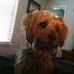 Profile Picture of Brenda Craven (@brenda.craven.543) on Facebook