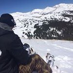 Profile Picture of Brett (@brettdoyle44) on Instagram