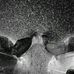 Profile Picture of Jerome Tha Choosen (@jerome.choosen) on Facebook