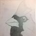 Profile Picture of Joe Singleton (@joe.singleton.509) on Facebook