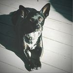 Profile Picture of Cathy Sylvester Pitts (@cathyspitts) on Instagram
