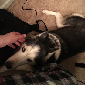 Profile Picture of Ricky Newton (@newton0972) on Pinterest