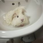 Profile Picture of Ruby Spearman (@spearmanruby) on Instagram