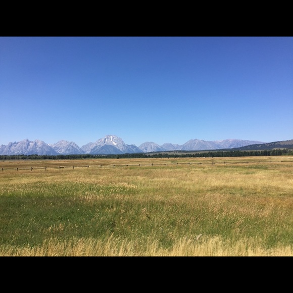 Profile Picture of Allison Reifsnyder (@alliemo87) on Poshmark