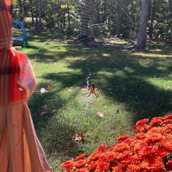 Profile Picture of Christi Sitton (@christisitton) on Poshmark