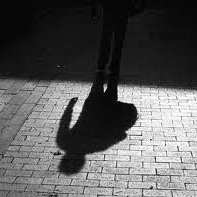 Profile Picture of Falcon (@hamed_al_amari) on Twitter