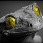 jimmy(Li Hao Quan) - Instagram Profile Picture of jimmy(Li Hao Quan) (@lihaoquan8879) on Instagram