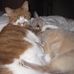 Profile Picture of Ann Borgs (@ann.borgs.5) on Facebook