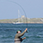 Profile Picture of Josef Meier (@josef meier) on Flickr