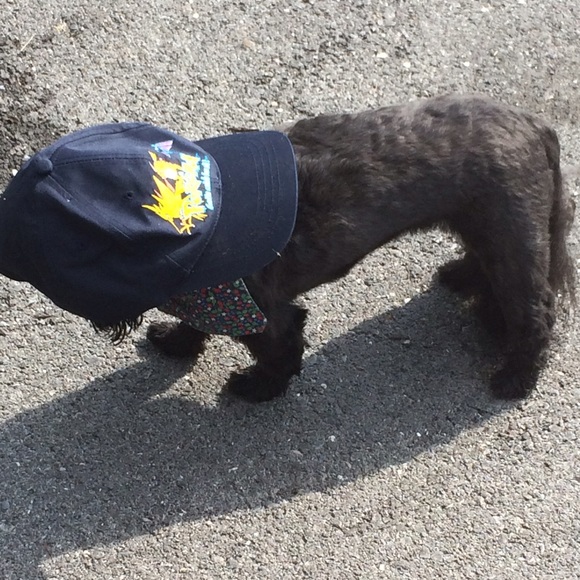 Profile Picture of Matt Kloza (@mk2716) on Poshmark