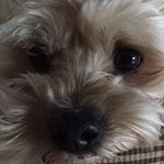 Profile Picture of Theodore prattas (@theodoreprattas) on Instagram