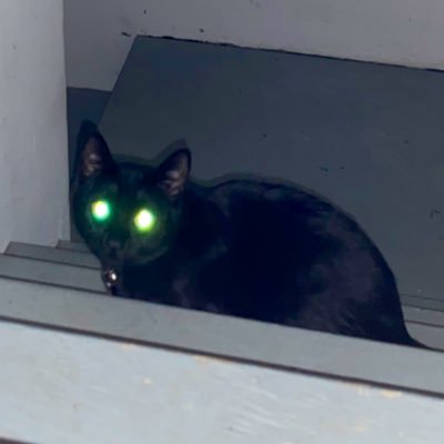 Profile Picture of Chase Caruso (@CECaruso1) on Twitter