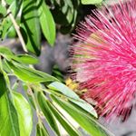 Profile Picture of Kelli Bender (@travelingbug88) on Instagram