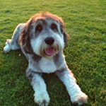 Profile Picture of Janet Carol Kilby (@janetkilby) on Instagram