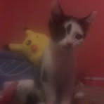 Profile Picture of Kerry Forsyth (@Kerry-Forsyth) on Facebook