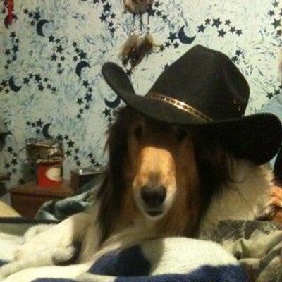 Profile Picture of Jason Trigger (@welfyn) on Twitter