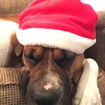 Profile Picture of Christian (@chcadavid2015) on Instagram